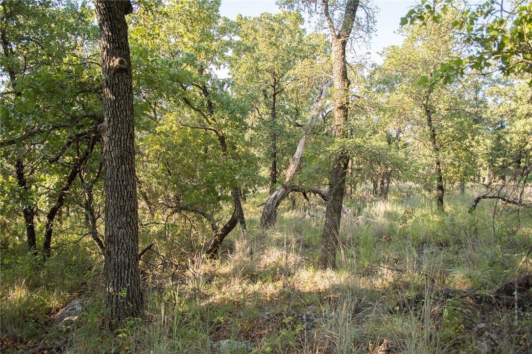 1.19 acres in Palo Pinto County - photo 20