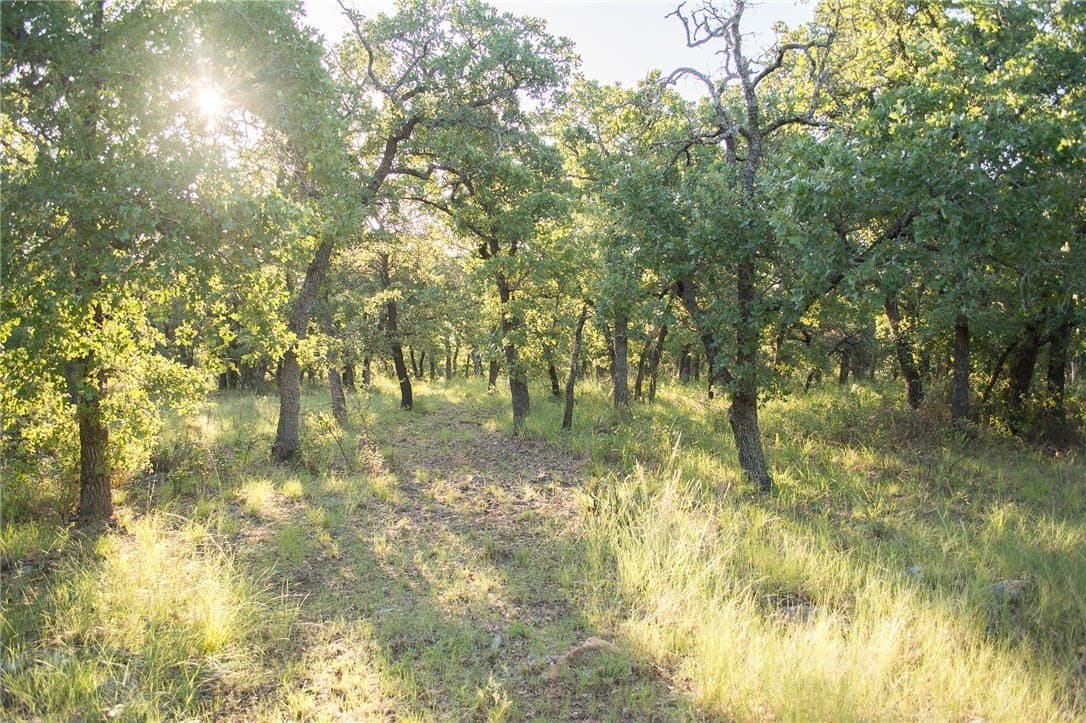 1.19 acres in Palo Pinto County - photo 32