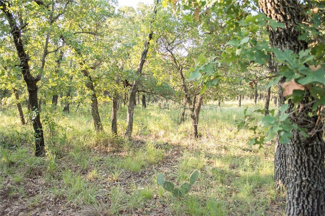 1.19 acres in Palo Pinto County - photo 29