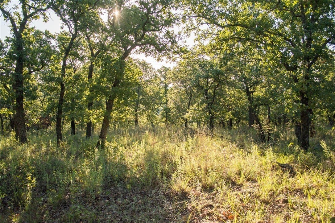1.19 acres in Palo Pinto County - photo 25