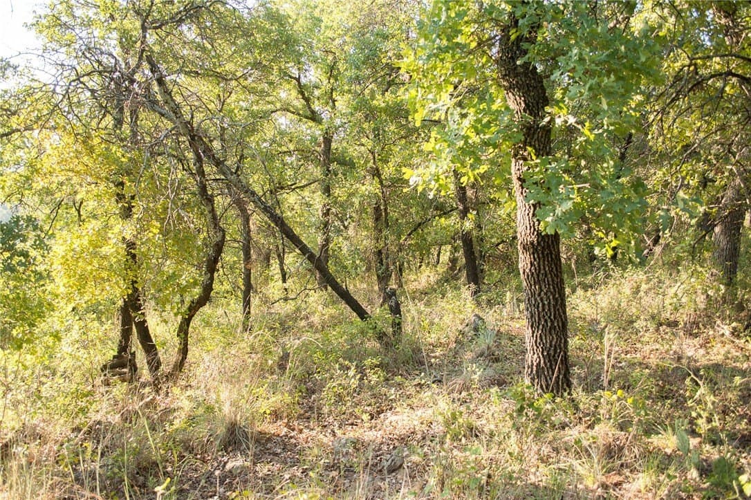 1.19 acres in Palo Pinto County - photo 16