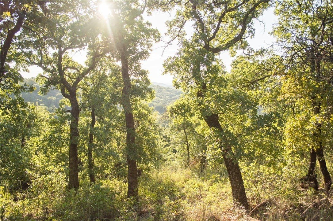 1.19 acres in Palo Pinto County - photo 18