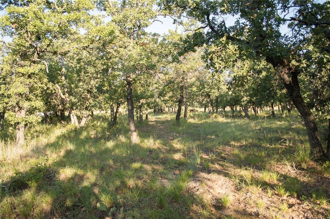 1.19 acres in Palo Pinto County - photo 6