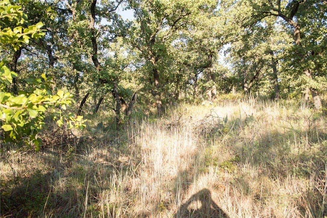 1.19 acres in Palo Pinto County - photo 13