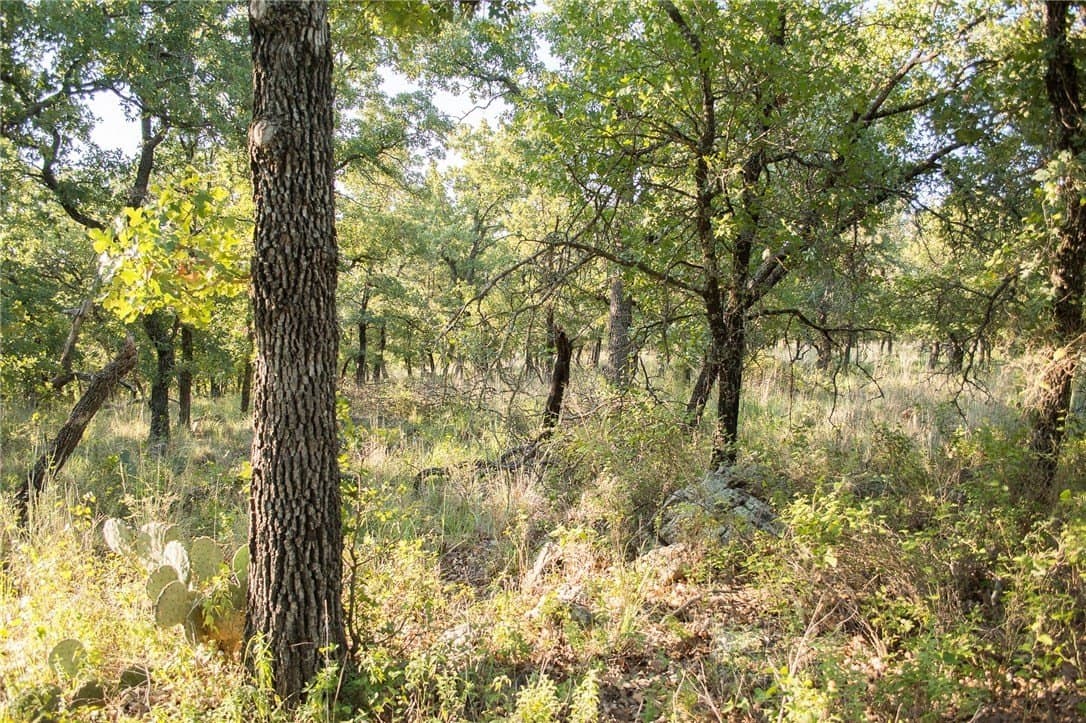 1.19 acres in Palo Pinto County - photo 22