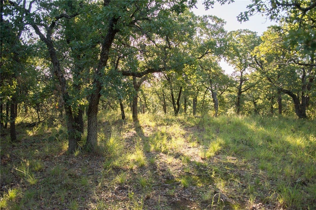 1.19 acres in Palo Pinto County - photo 26