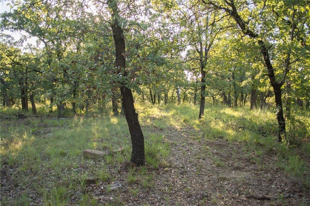 1.19 acres in Palo Pinto County - photo 28