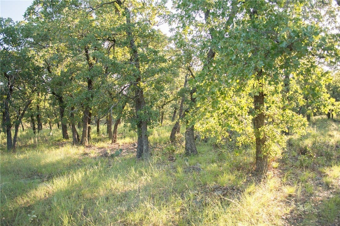 1.19 acres in Palo Pinto County - photo 31