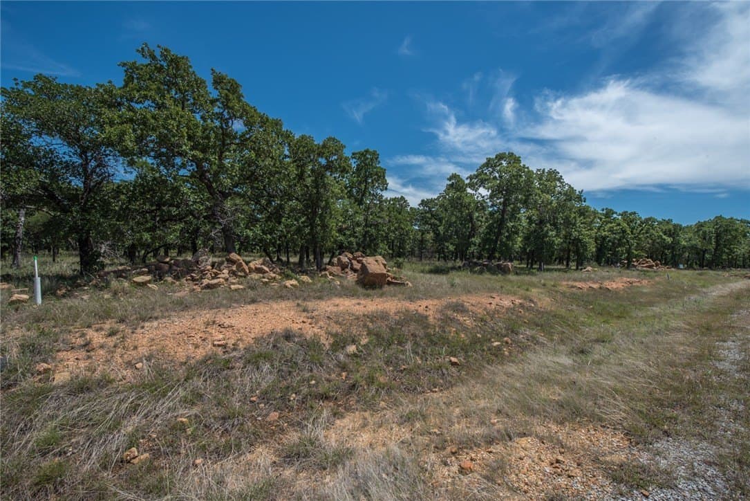 1.19 acres in Palo Pinto County - photo 17
