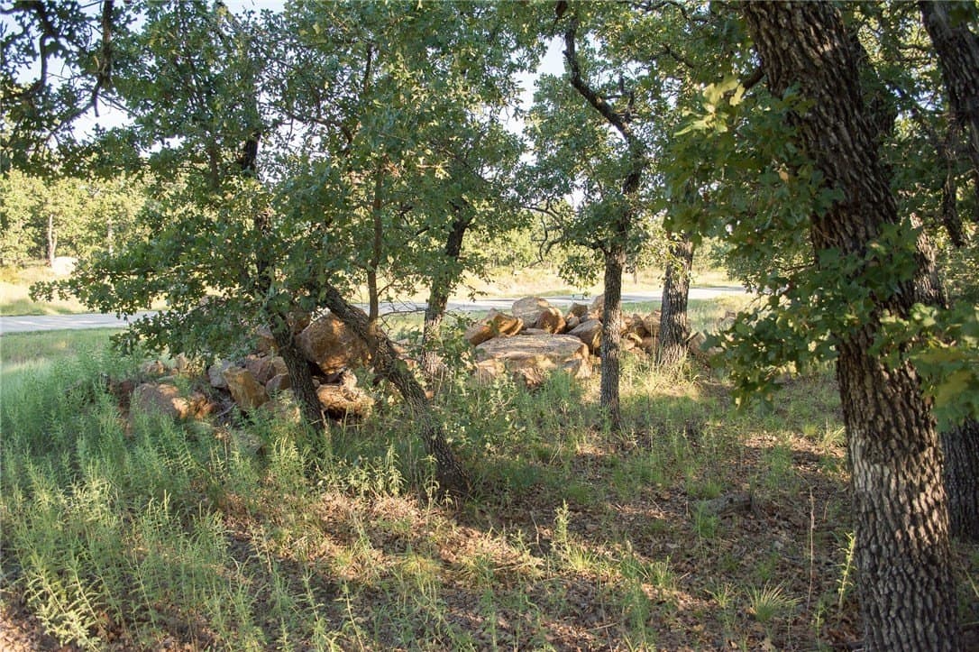 1.19 acres in Palo Pinto County - photo 10