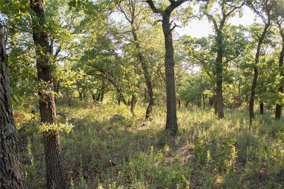 1.19 acres in Palo Pinto County - photo 23