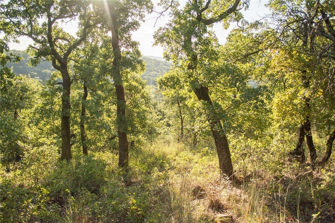 1.19 acres in Palo Pinto County - photo 15