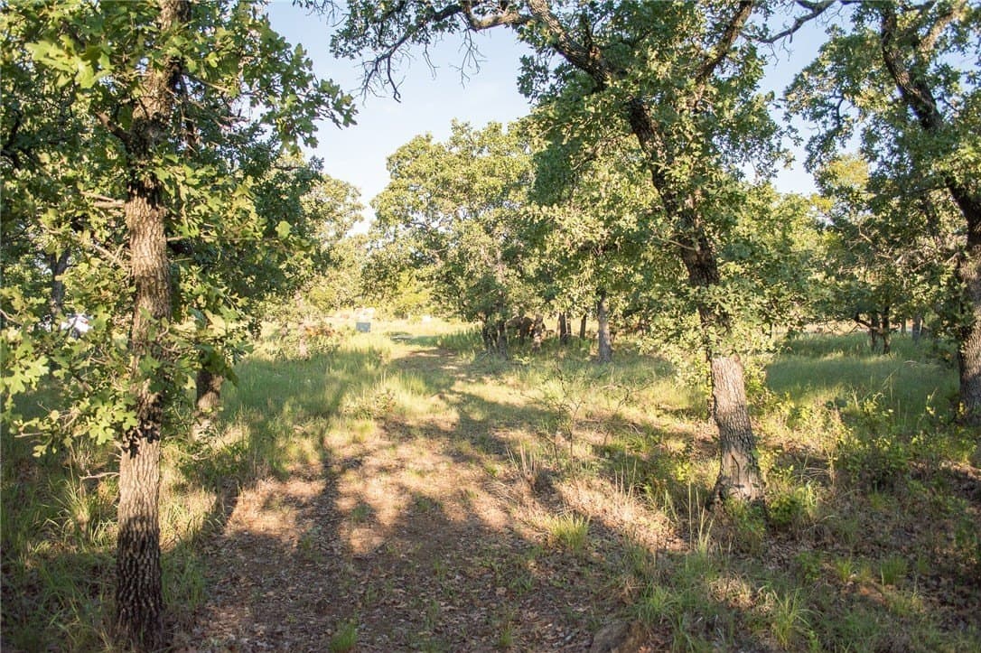 1.19 acres in Palo Pinto County - photo 9