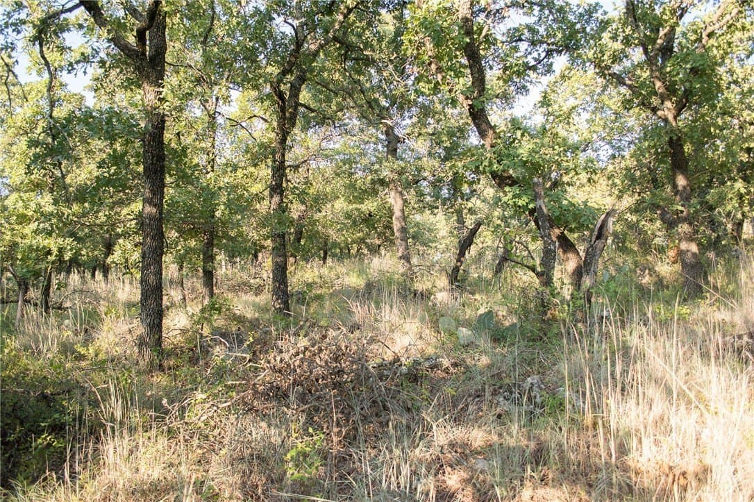 1.19 acres in Palo Pinto County - photo 14