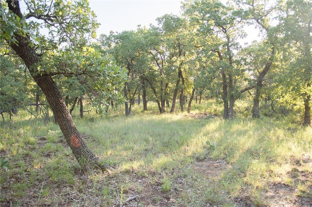 1.19 acres in Palo Pinto County - photo 35