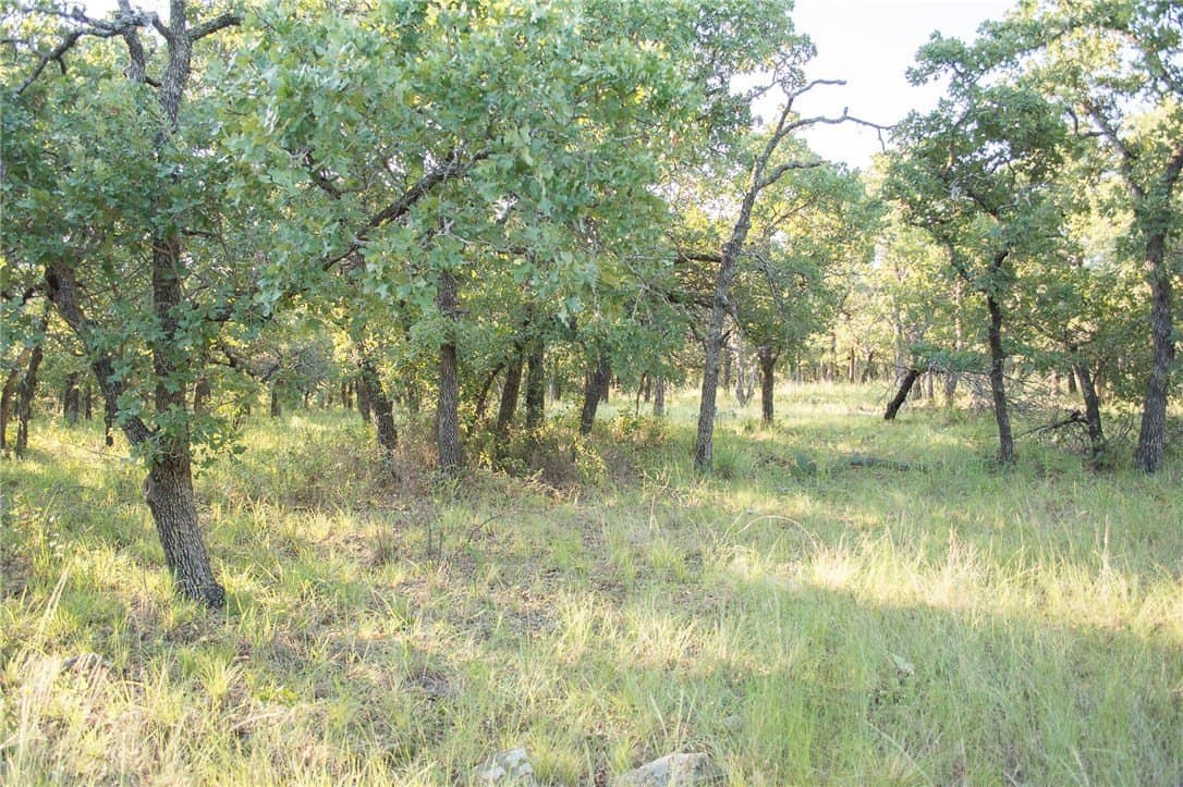 1.19 acres in Palo Pinto County - photo 33