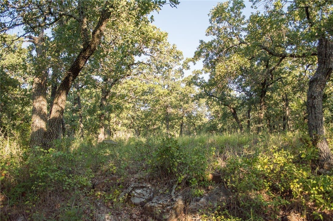 1.19 acres in Palo Pinto County - photo 12