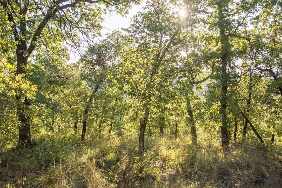 1.19 acres in Palo Pinto County - photo 21
