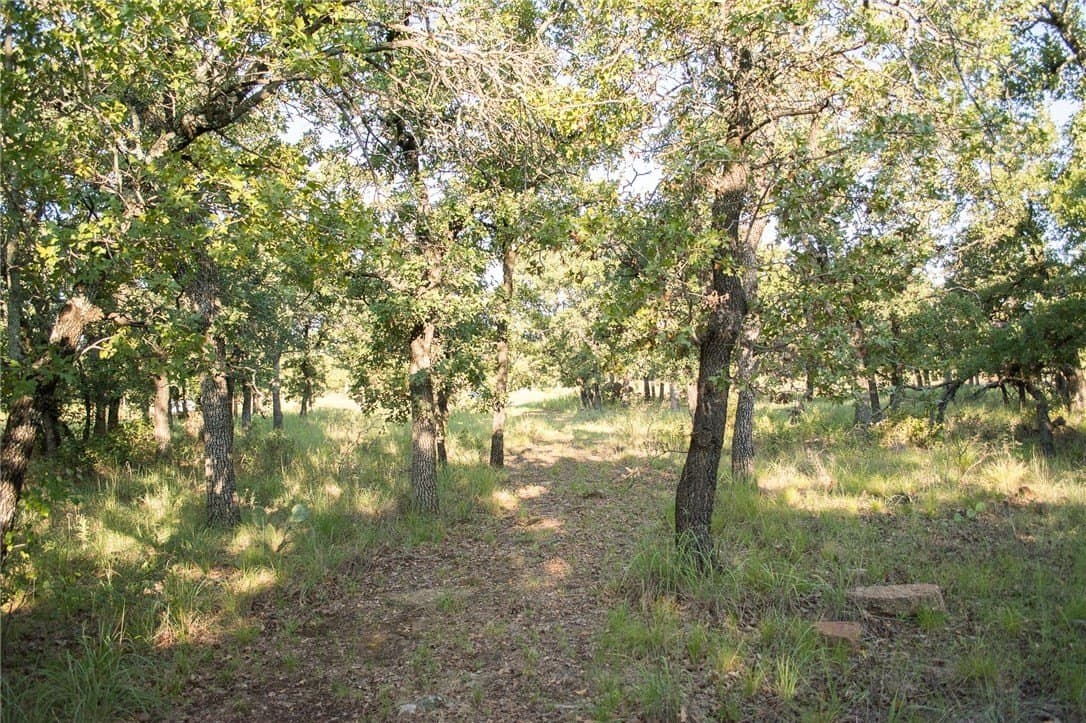 1.19 acres in Palo Pinto County - photo 11
