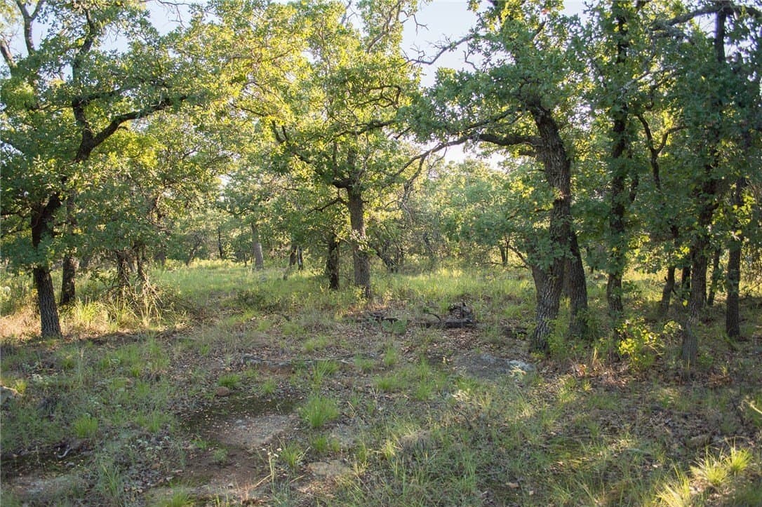 1.19 acres in Palo Pinto County - photo 27