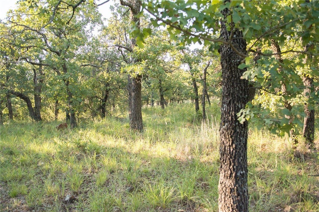 1.19 acres in Palo Pinto County - photo 24