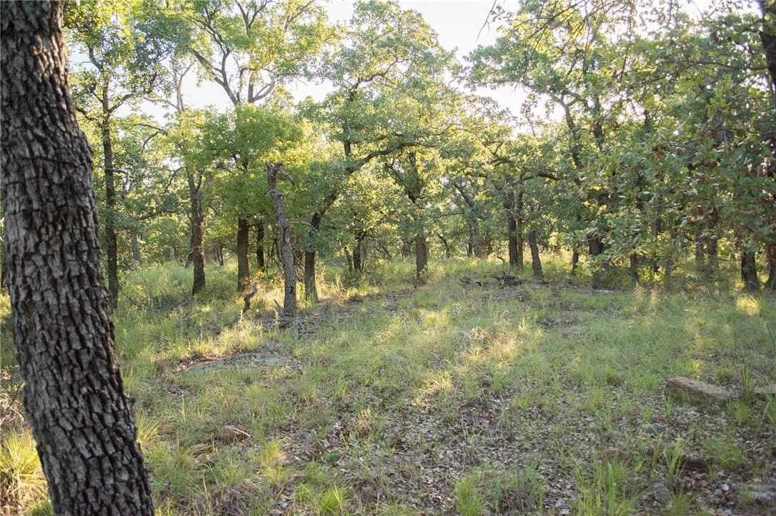1.19 acres in Palo Pinto County - photo 30