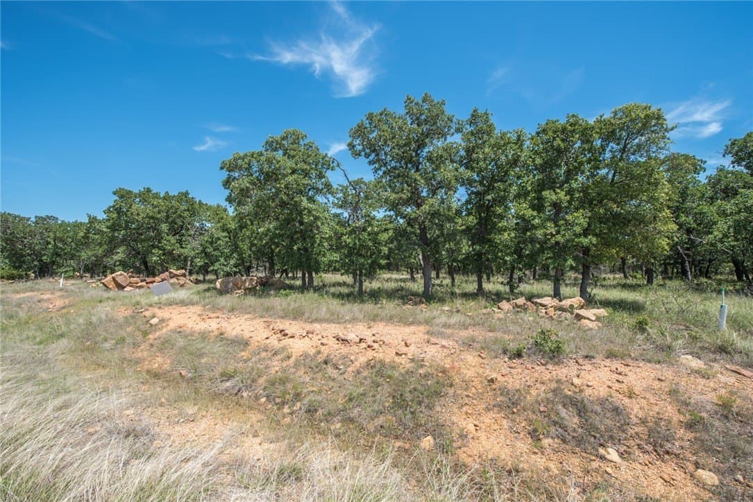 1.19 acres in Palo Pinto County - photo 7