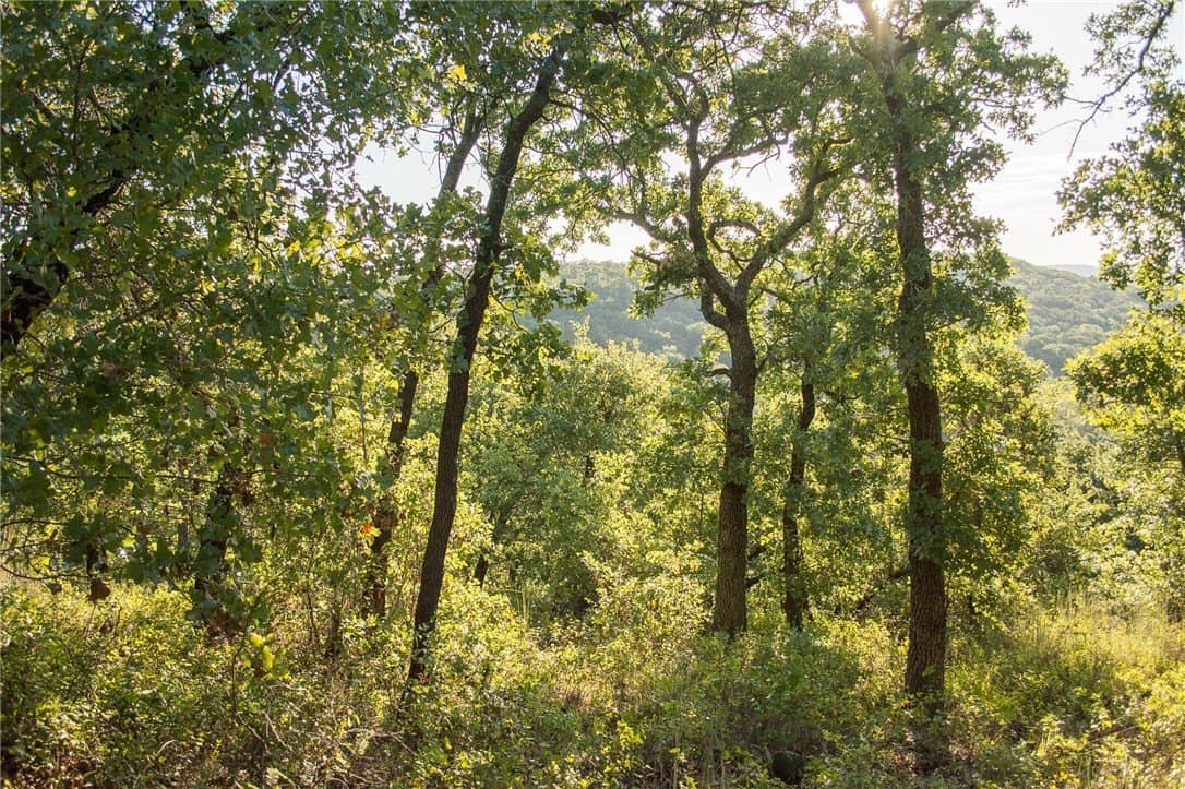 1.19 acres in Palo Pinto County - photo 19