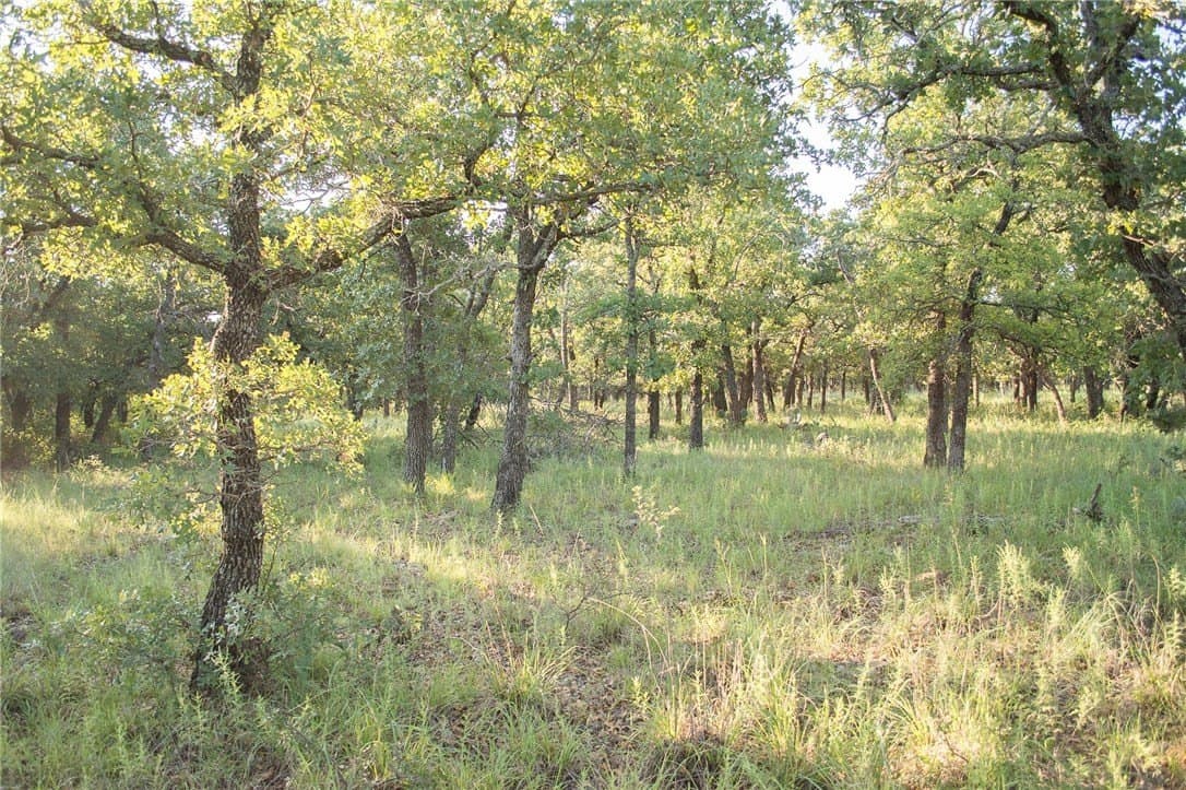1.19 acres in Palo Pinto County - photo 34