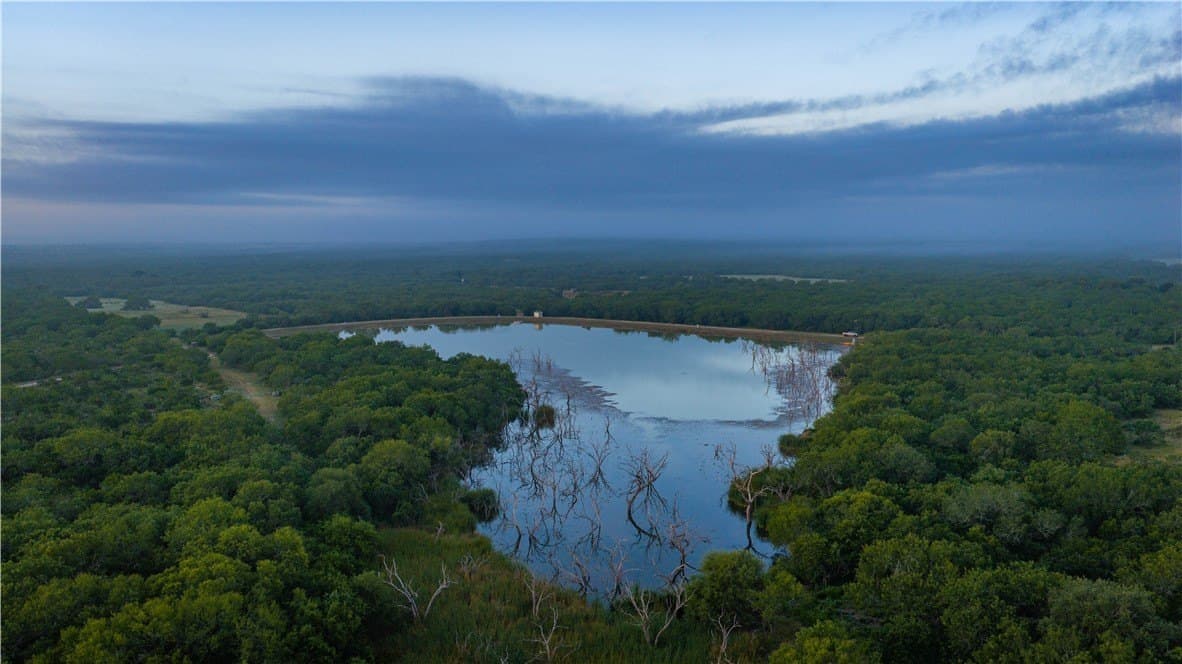 1,695.21 acres in Live Oak County gallery image 3