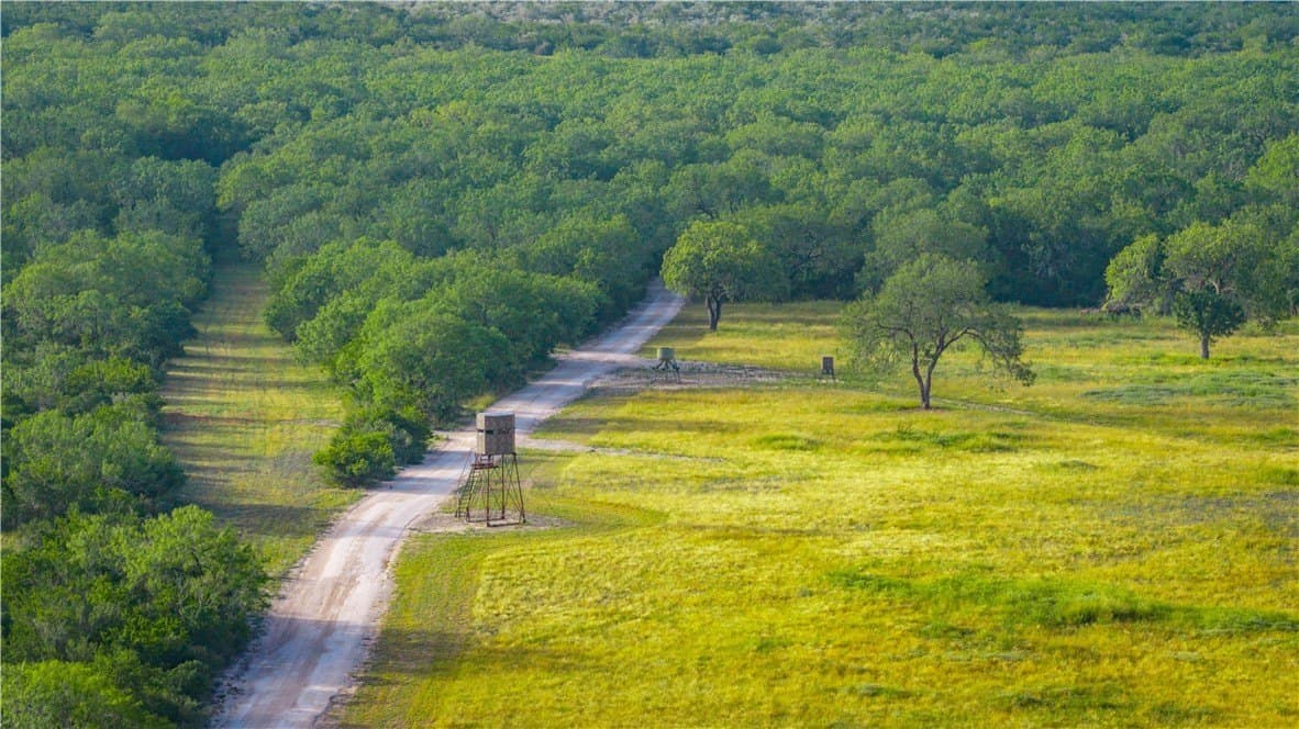 1,695.21 acres in Live Oak County - photo 24