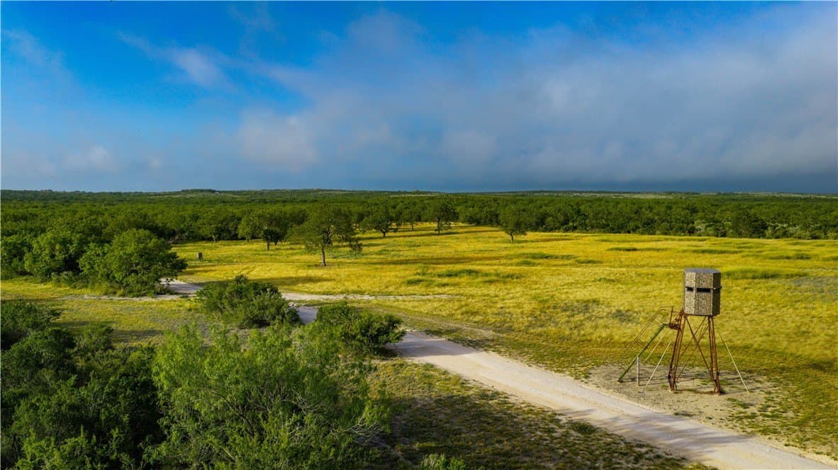 1,695.21 acres in Live Oak County - photo 21
