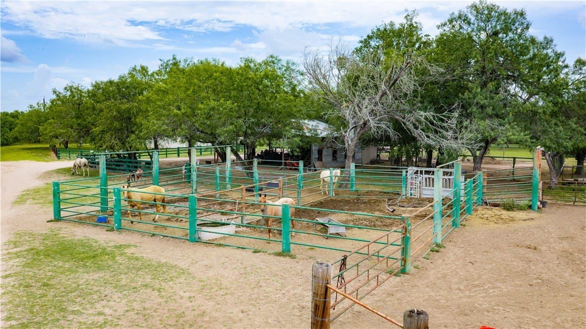 1,695.21 acres in Live Oak County - photo 27