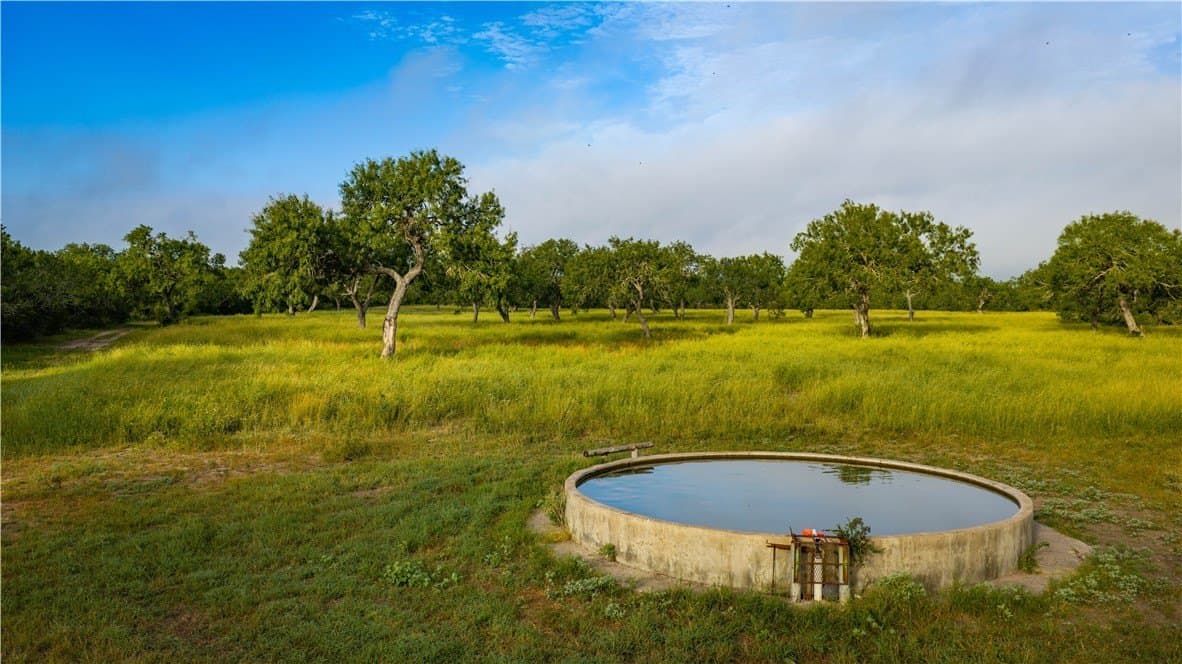 1,695.21 acres in Live Oak County - photo 20