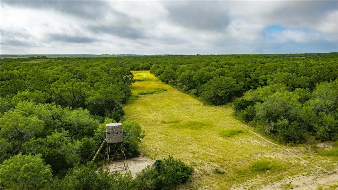 1,695.21 acres in Live Oak County - photo 23