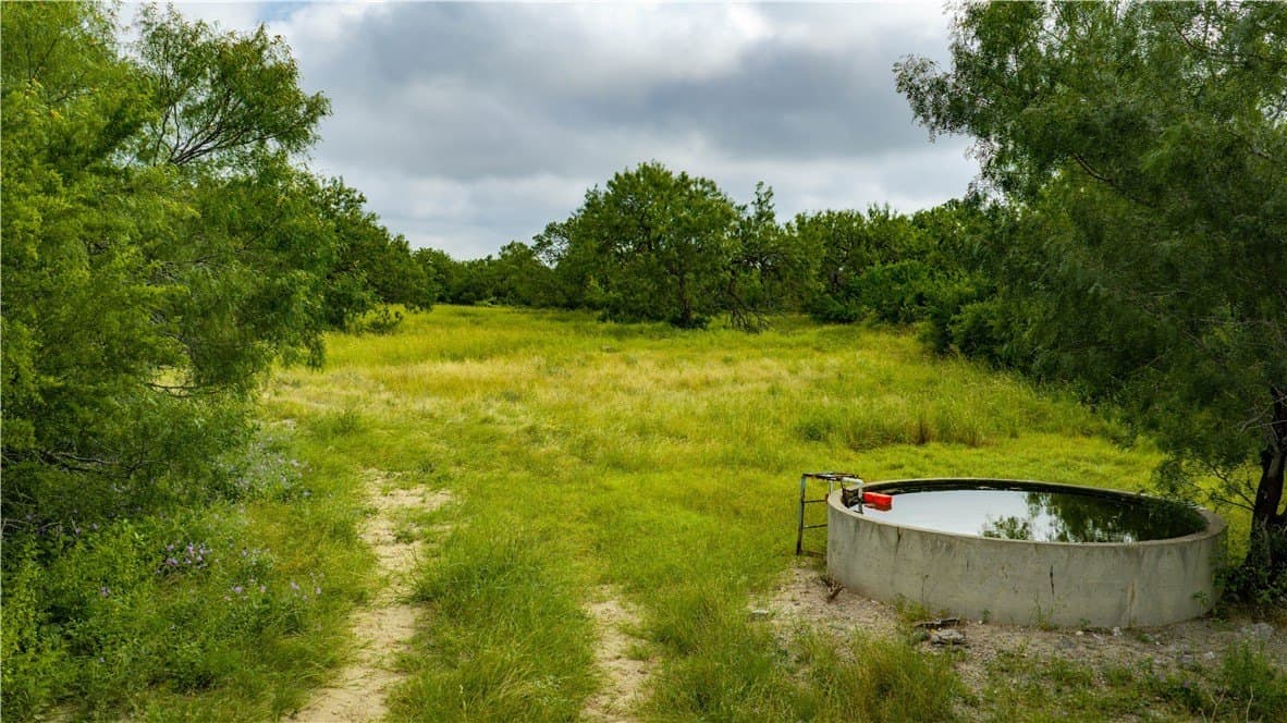 1,695.21 acres in Live Oak County - photo 22
