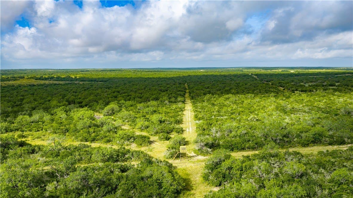 1,695.21 acres in Live Oak County - photo 25