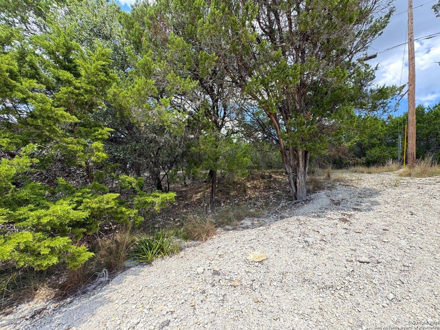0.91 acres in Comal County - photo 9