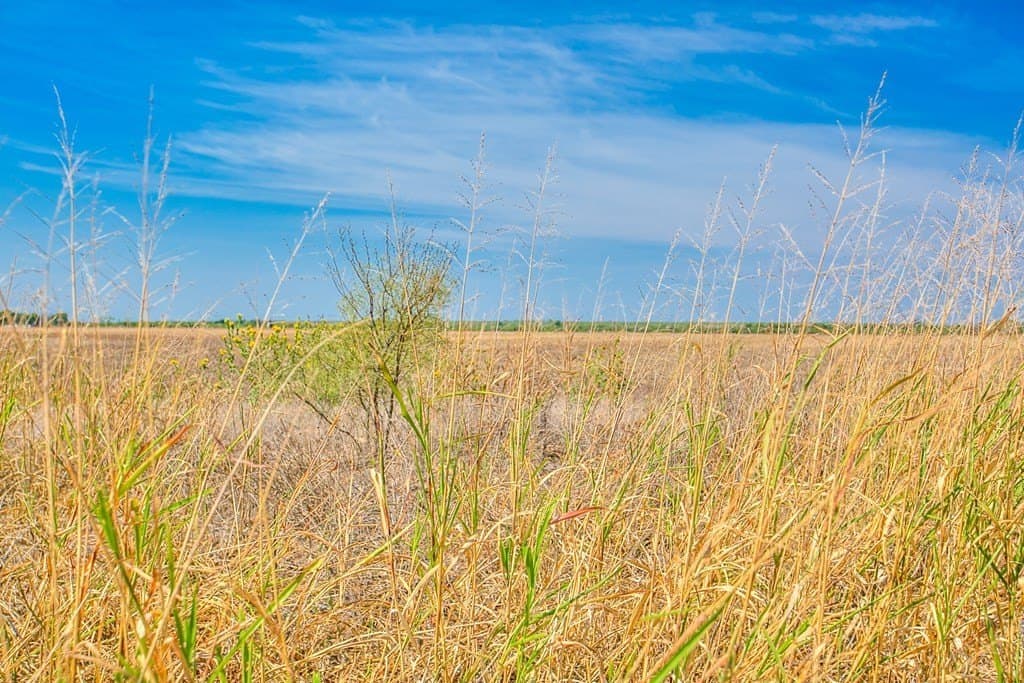 163.41 acres in Runnels County - photo 14