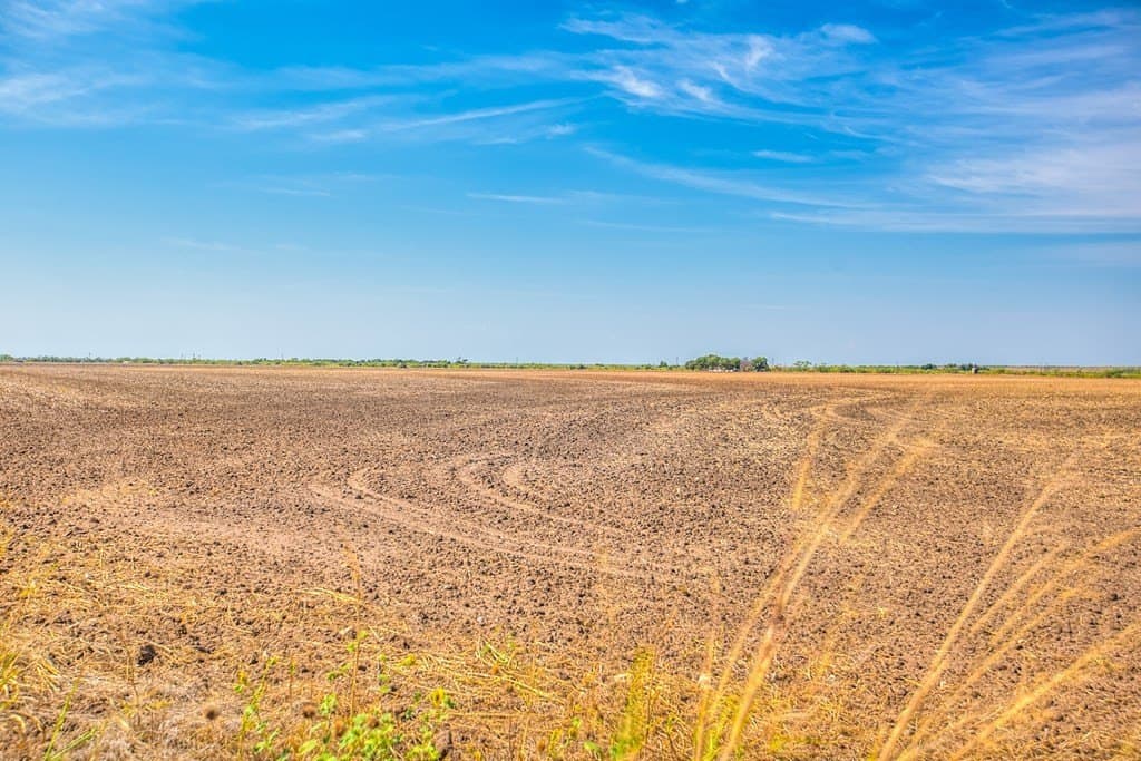 163.41 acres in Runnels County - photo 12