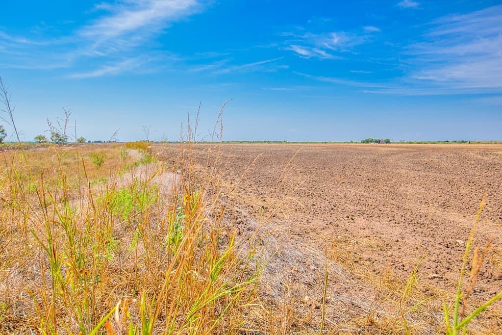 163.41 acres in Runnels County - photo 15