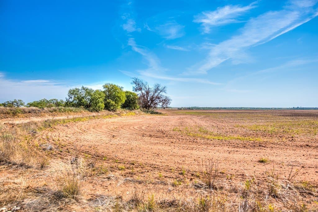 163.41 acres in Runnels County gallery image 3