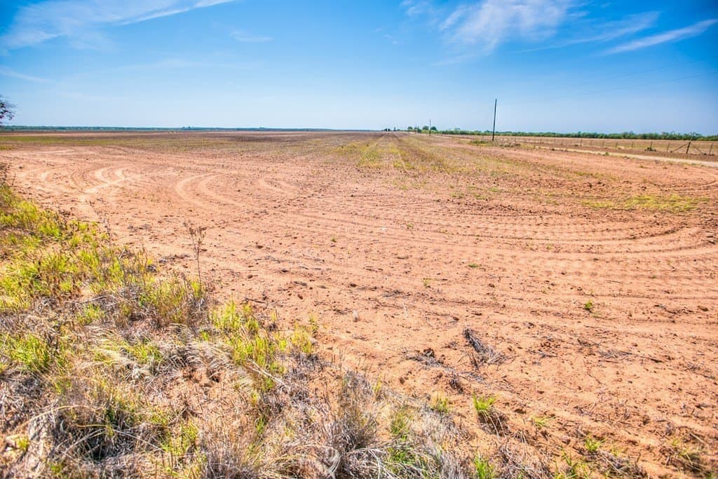 163.41 acres in Runnels County - photo 8