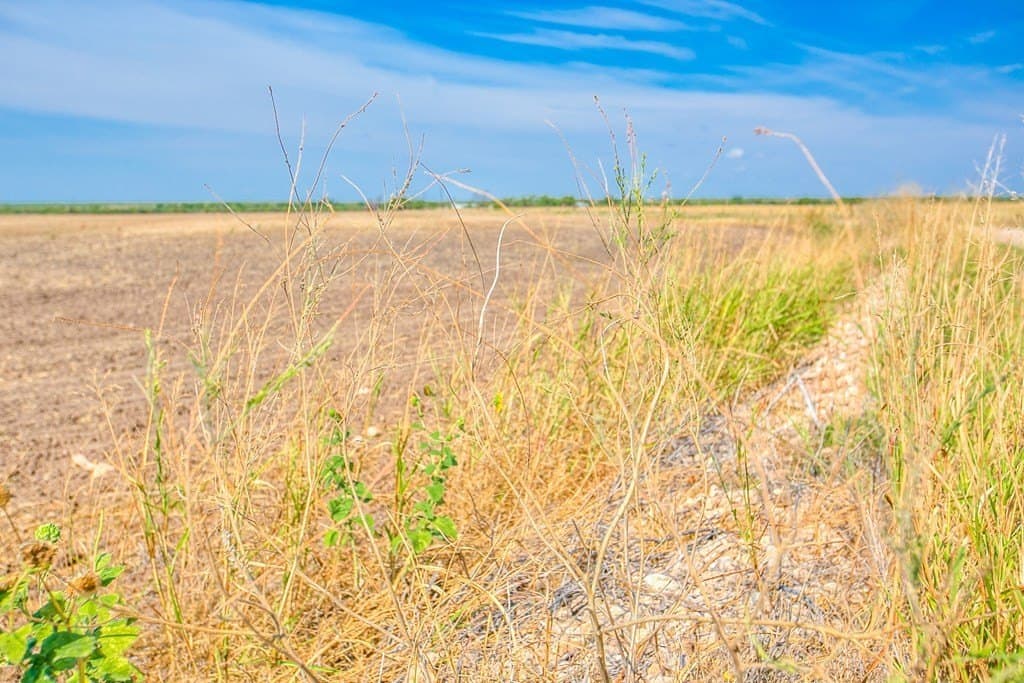 163.41 acres in Runnels County - photo 13