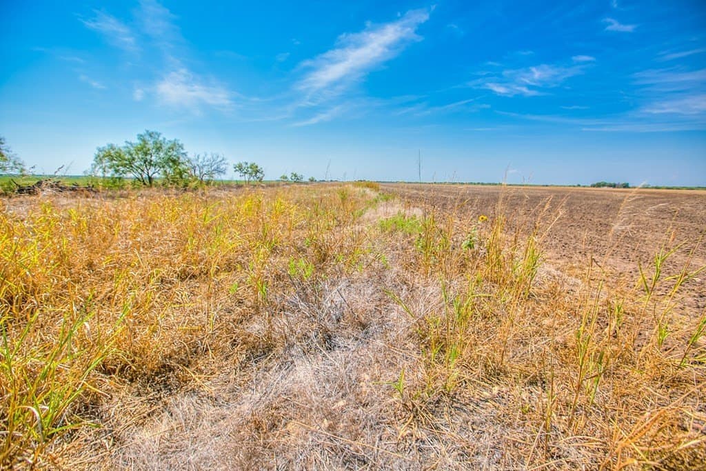 163.41 acres in Runnels County - photo 19