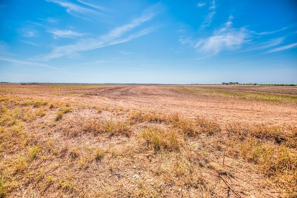 163.41 acres in Runnels County - photo 9
