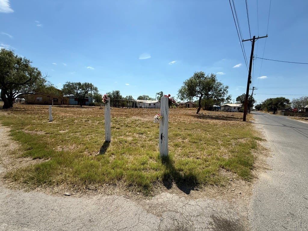 0 acres in Dimmit County - photo 4