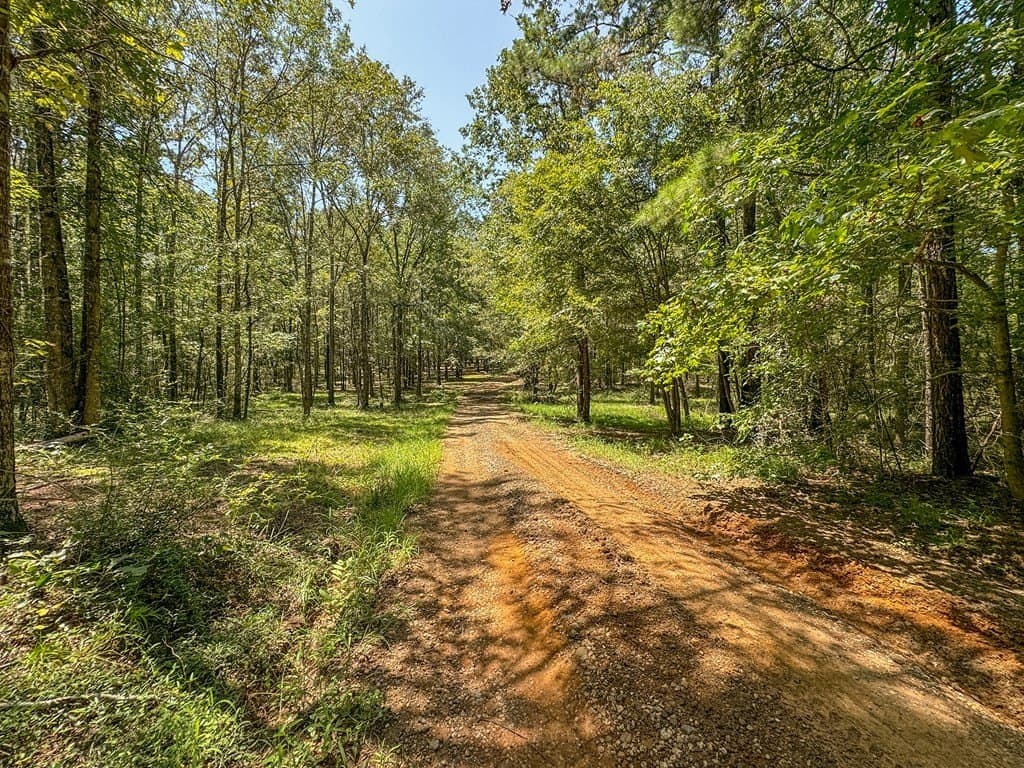 35.1 acres in Texas County - photo 52