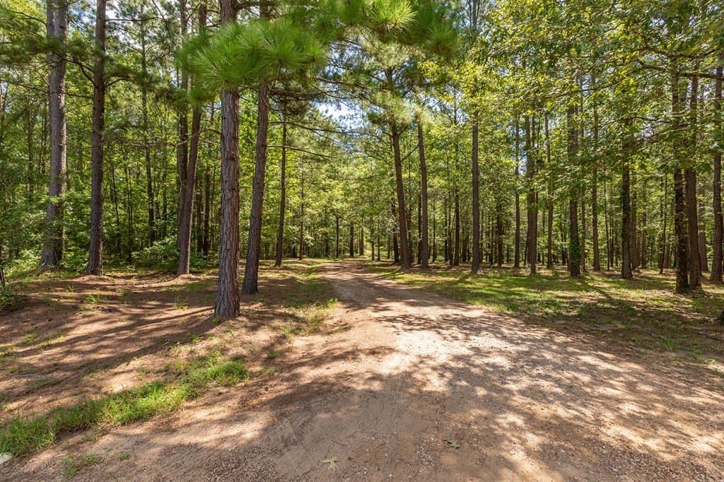 35.1 acres in Texas County - photo 51