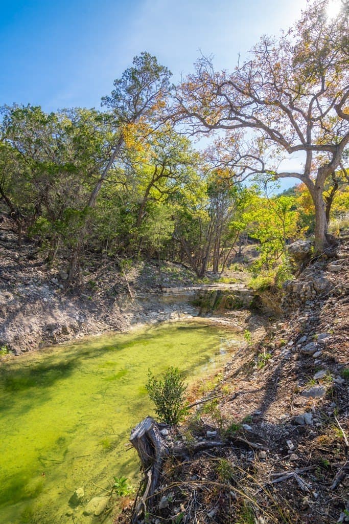 230 acres in Real County featured view
